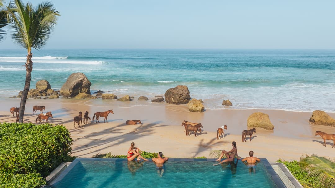 The Edge of Wild Beauty: Why NIHI Sumba Is More Than a Resort