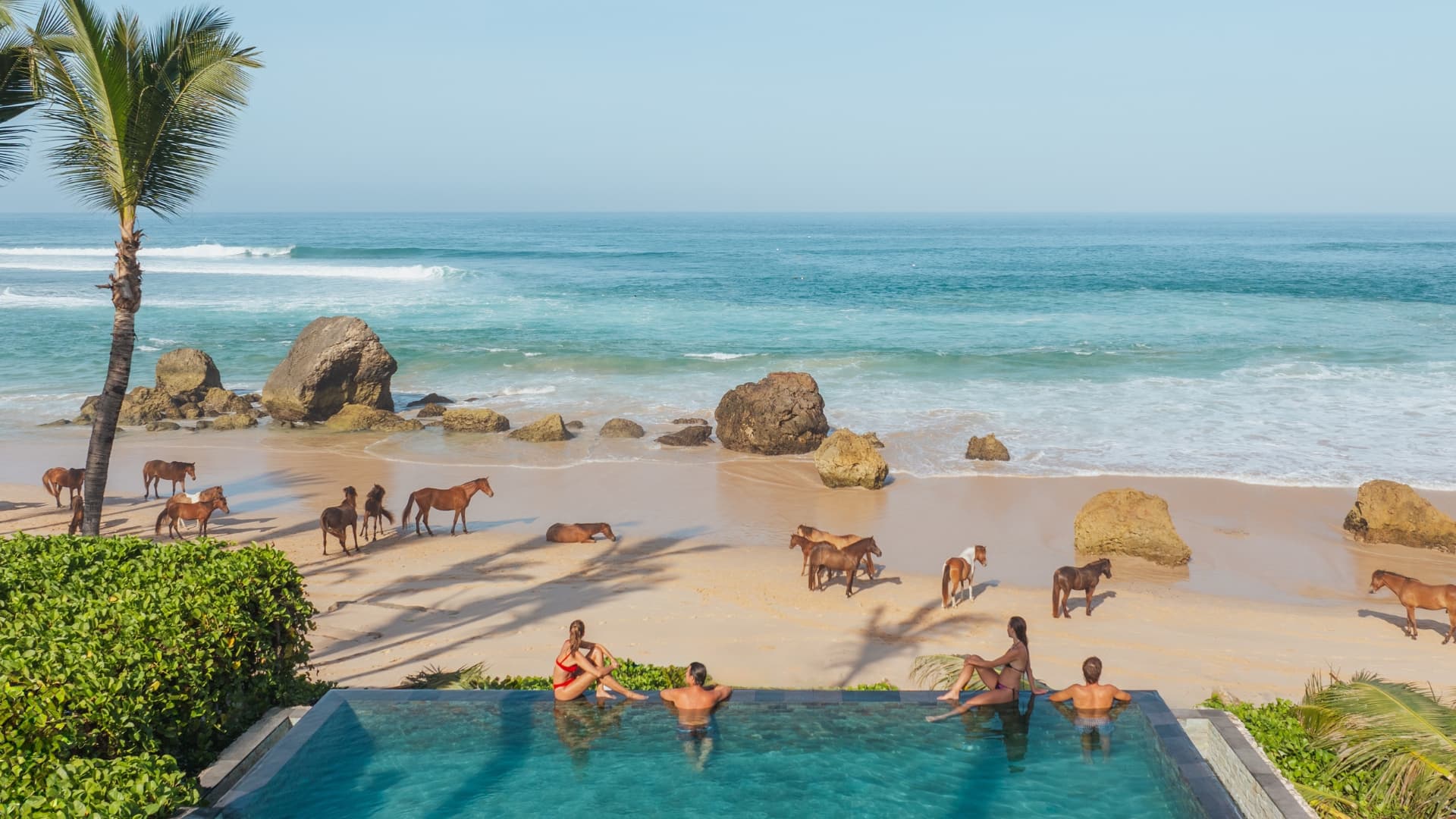 The Edge of Wild Beauty: Why NIHI Sumba Is More Than a Resort